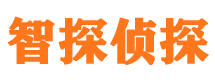 田家庵智探私家侦探公司